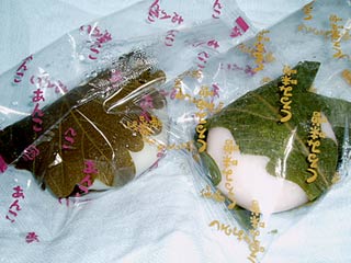 �ڤ�Ȩ������