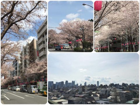 中野駅近くの桜と、ビルの屋上からの空